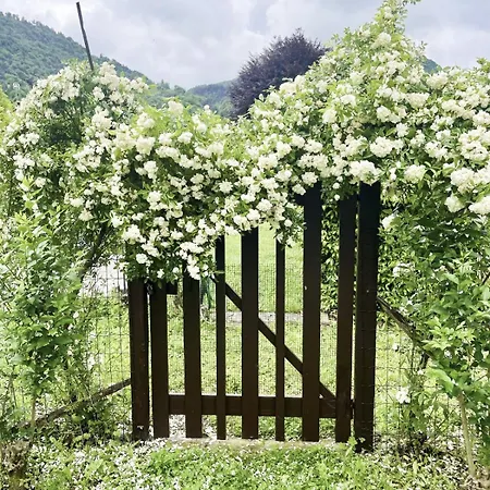 Apartmán Casa Romeo *