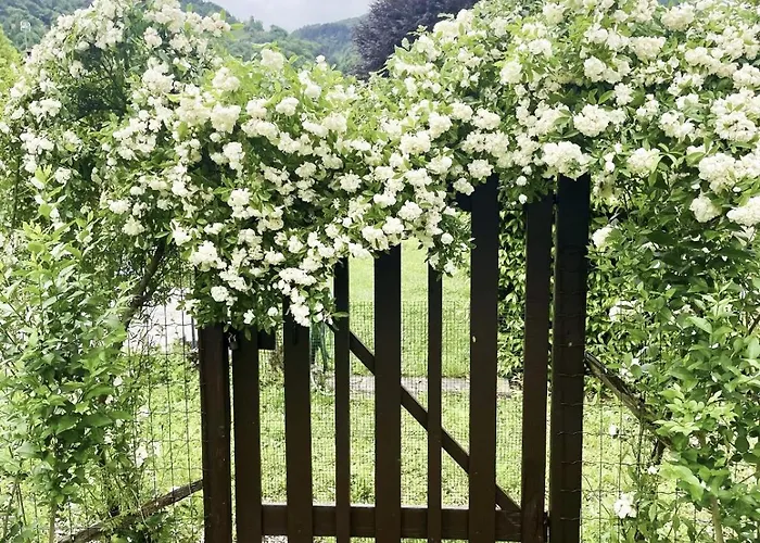 Lägenhet Casa Romeo *